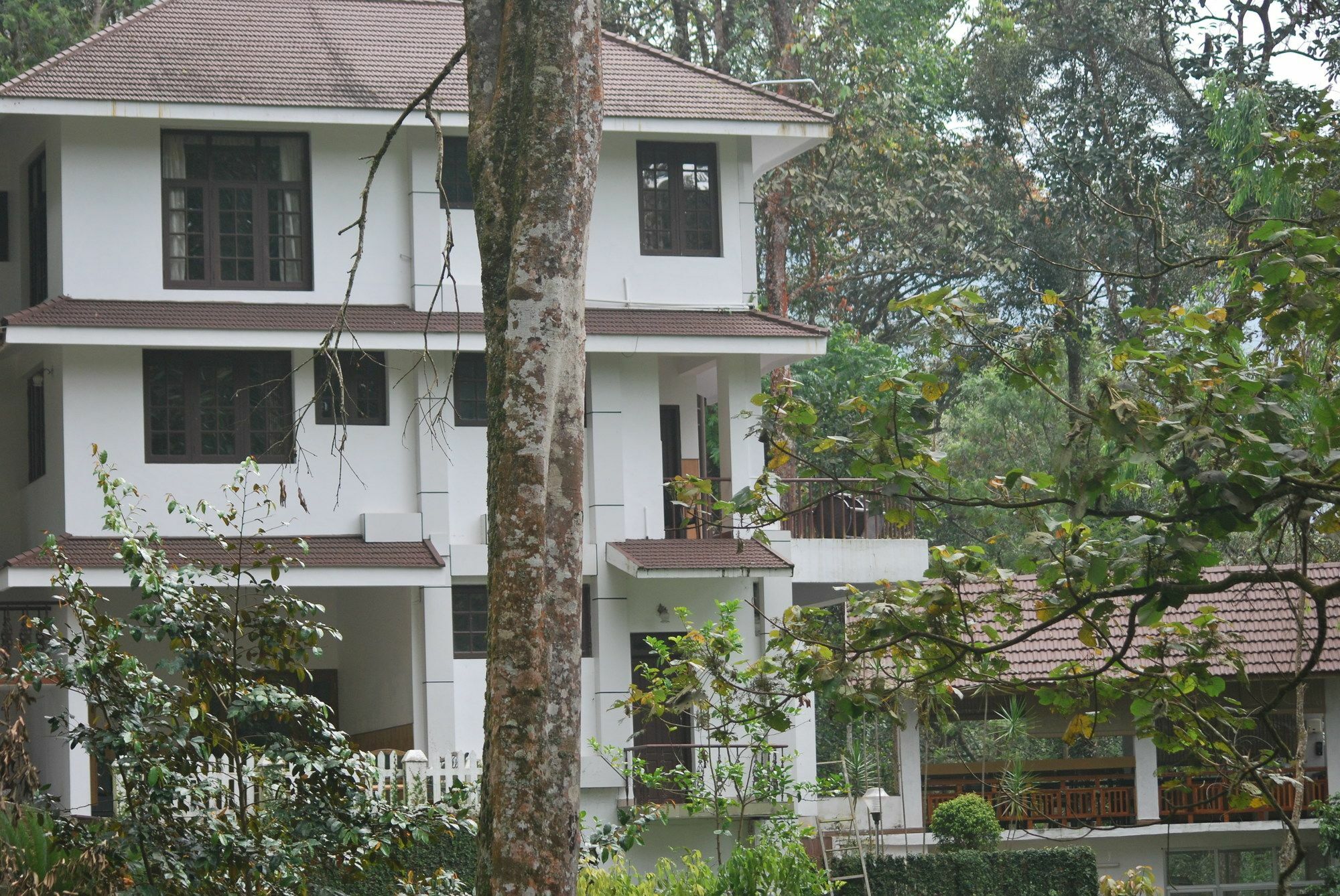 T Cherry Villa Munnar Exterior photo